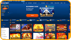 Mostbet Egypt entry to the official wagering and online casino site